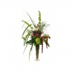 The arrangement of the tropics